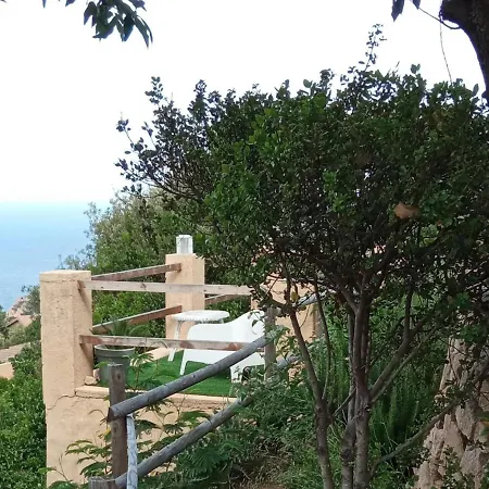 Aloe 2 * Costa Paradiso